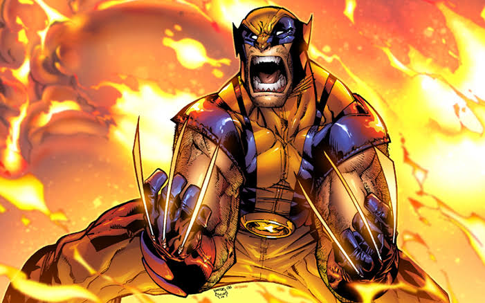 Leia mais sobre o artigo Quem é Wolverine